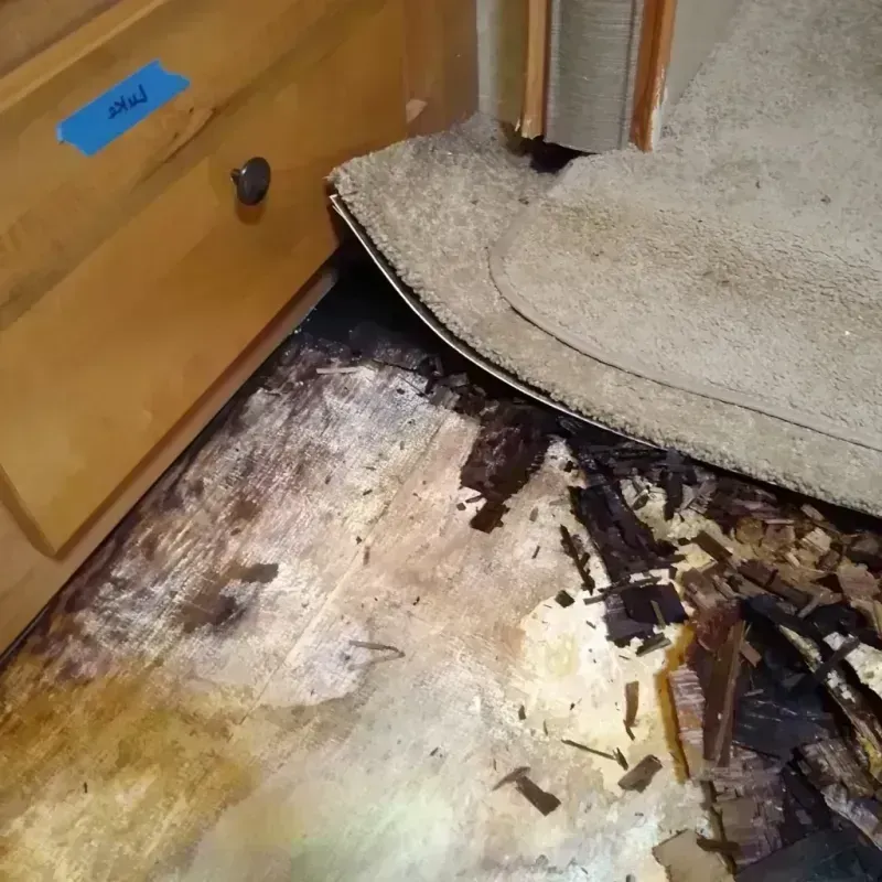 Wood Floor Water Damage in Black Diamond, FL